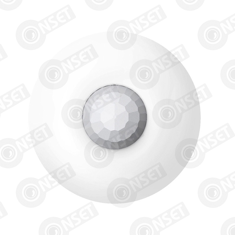 INT0000000243 #1